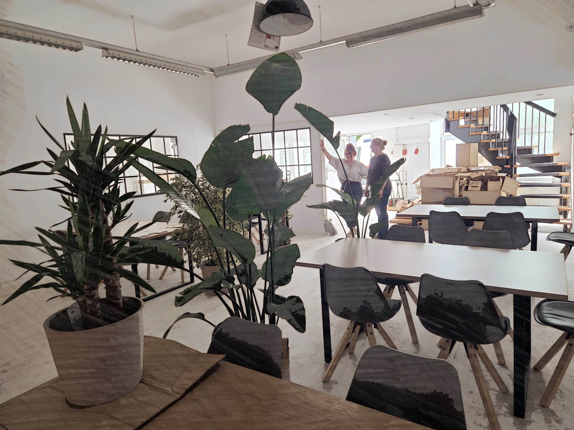 Blick in den neuen Studio-Raum mit Pflanzen und Tischen